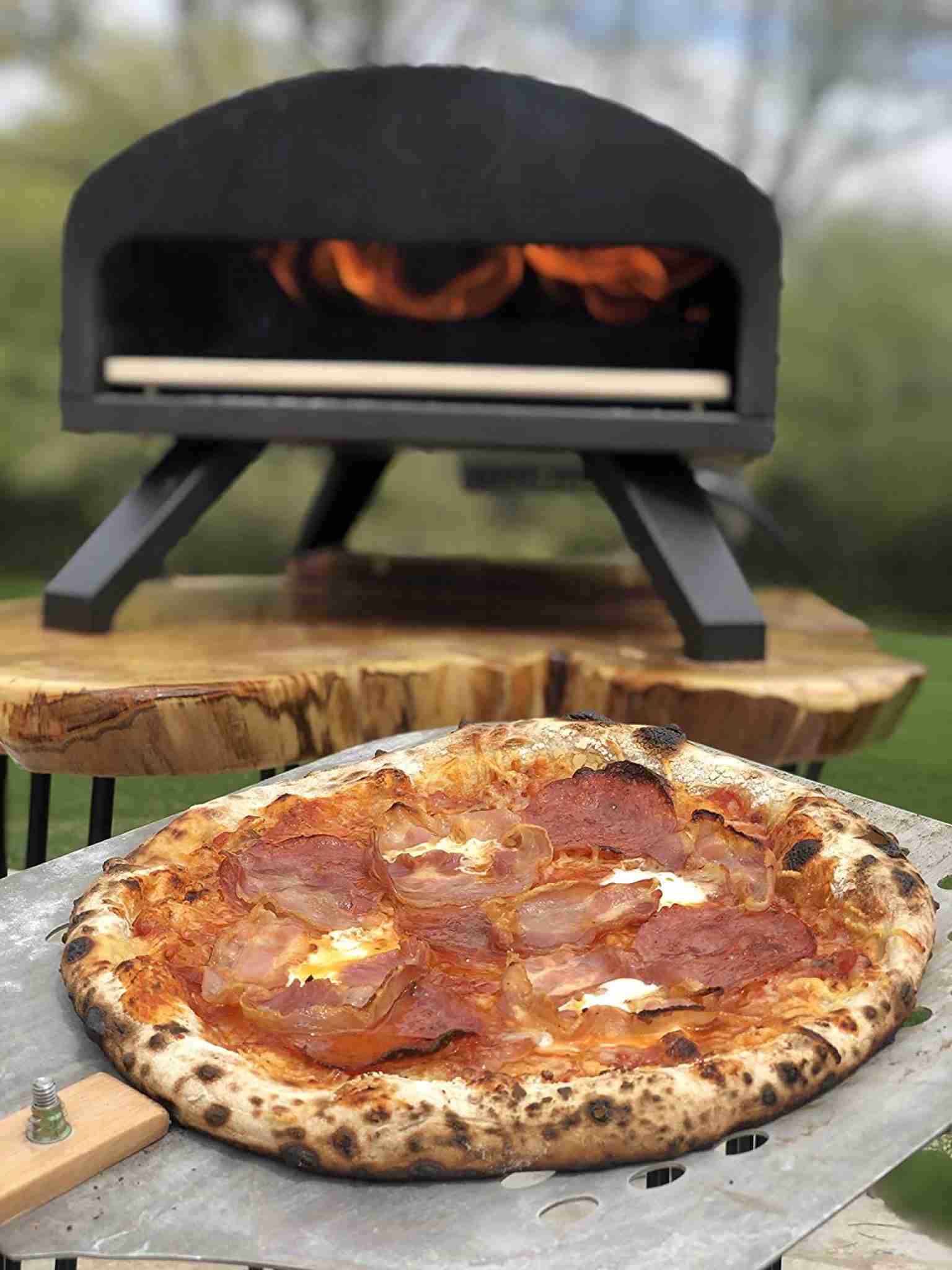 Best Wood Fired Pizza Ovens Taking a Look at Top 12 Appliances
