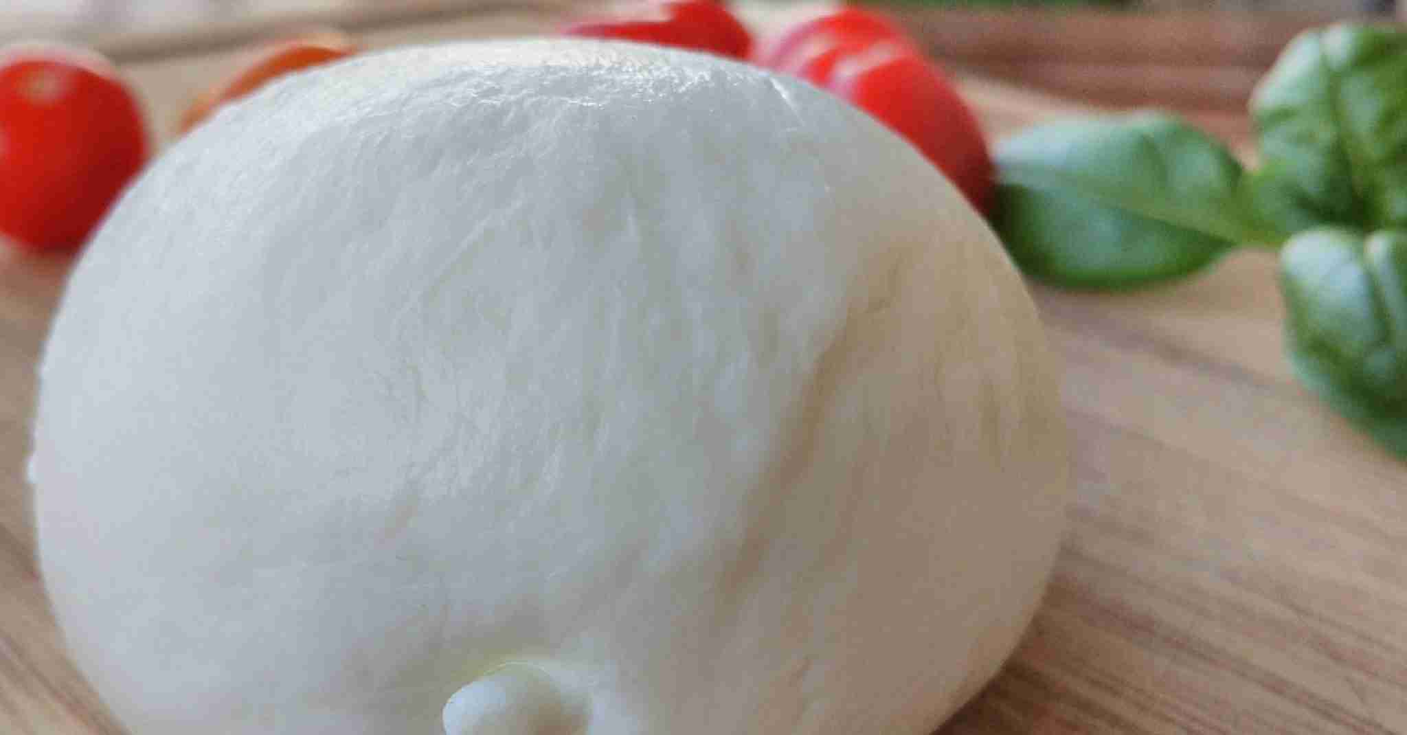 What Cheese Goes on Pizza The Most Popular Cheese Types to Use