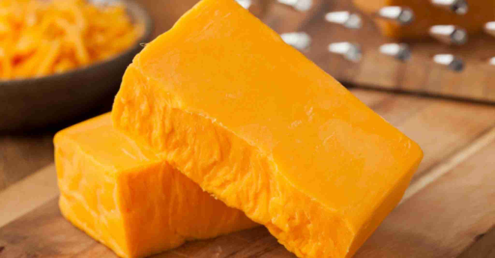 What Cheese Goes on Pizza The Most Popular Cheese Types to Use